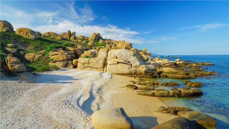 Một ngày sống chậm tại Cù Lao Câu