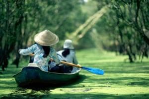Vé máy bay Mỹ về Việt Nam giá rẻ