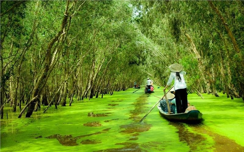 Vé máy bay Nhật Bản về Việt Nam giá rẻ