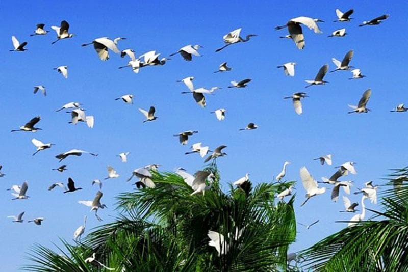 Vé máy bay Hà Nội đi Kiên Giang giá rẻ