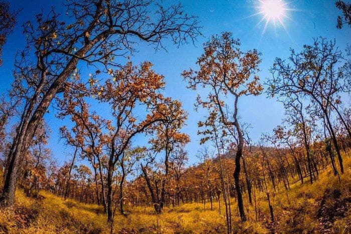 Vé máy bay Hà Nội đi Buôn Mê Thuột giá rẻ