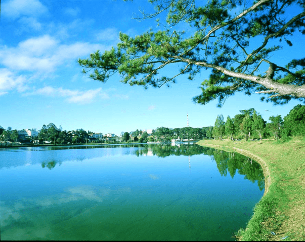 Vé máy bay đi Đà Lạt giá rẻ 