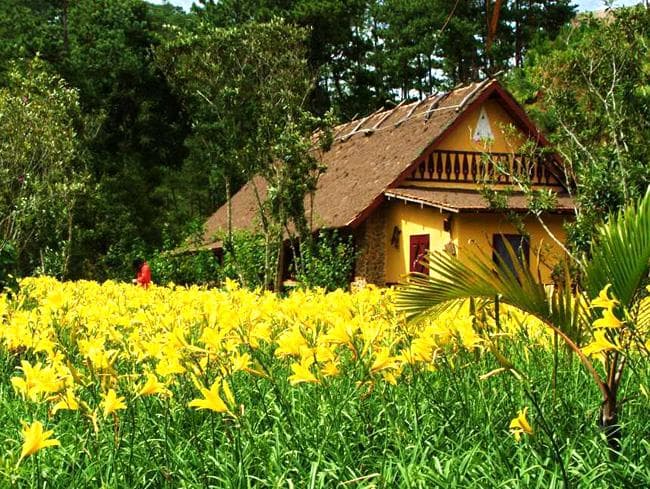 Bạn có đang bỏ lỡ một ngôi làng đẹp như cổ tích tại xứ Đà Lạt mộng mơ? 