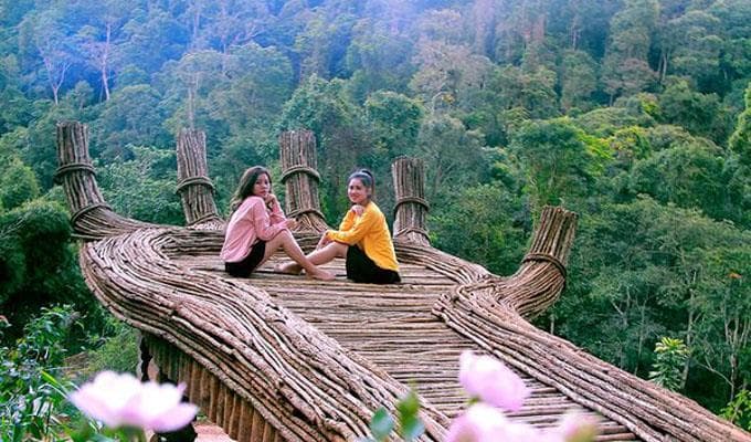 Bạn biết gì về Hoa Sơn Điền Trang Đà Lạt?