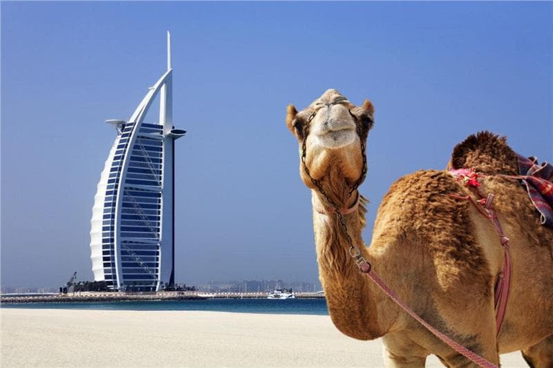 Vé máy bay Hà Nội đi Dubai giá rẻ