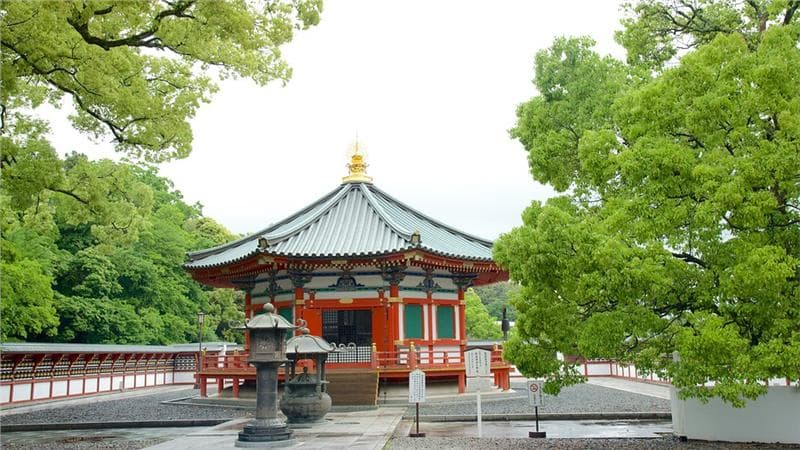 Vé máy bay Hà Nội đi Narita giá rẻ