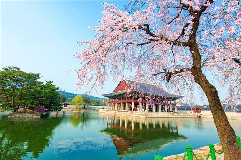 Bật mí bí mật du lịch Hàn Quốc tiết kiệm nhất