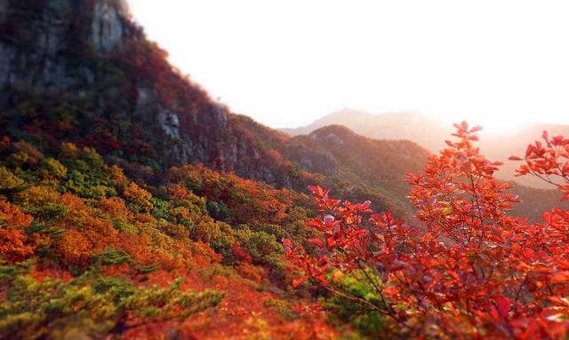 Vé máy bay Hà Nội đi Jeju giá rẻ