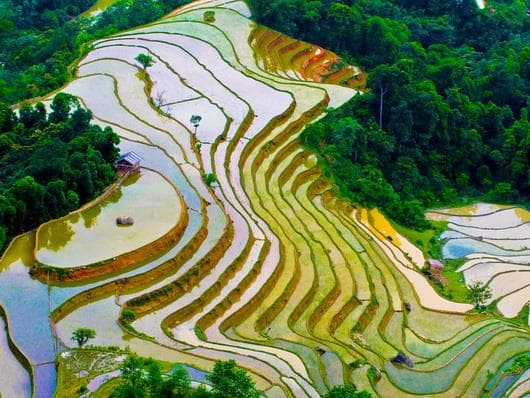 Lặng ngắm Hà Giang dịu dàng mùa nước đổ