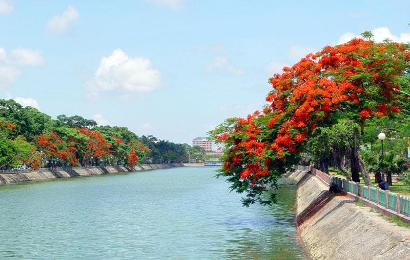 Tìm về vẻ đẹp bình yên của Hải Phòng mùa hoa phượng đỏ