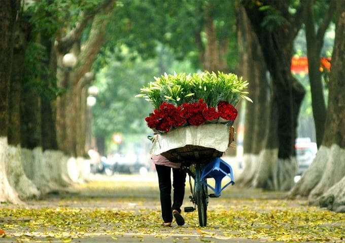 Vé máy bay Vinh đi Hà Nội giá rẻ