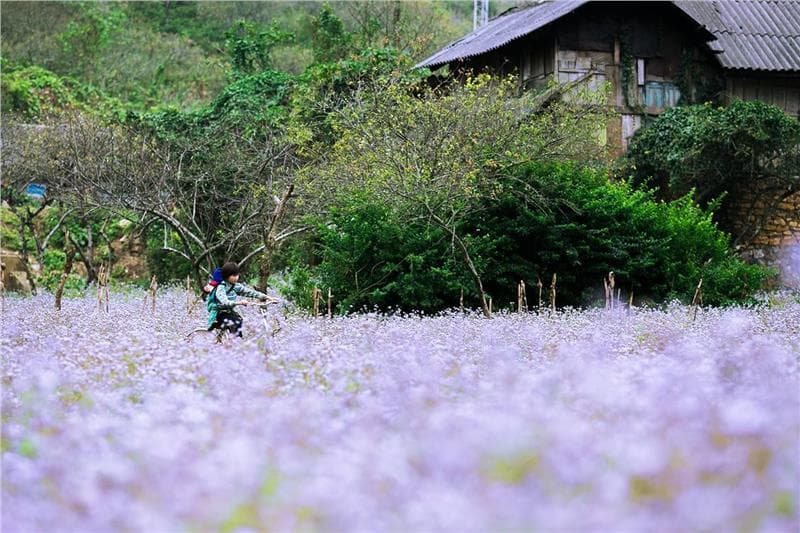 Kinh nghiệm du lịch Mai Châu 2018