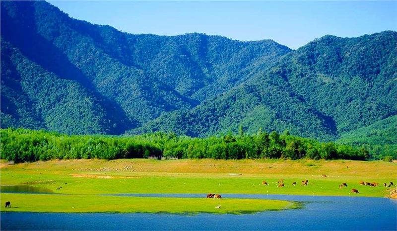 Những "thảo nguyên Mông Cổ" đẹp mê mẩn ở Việt Nam