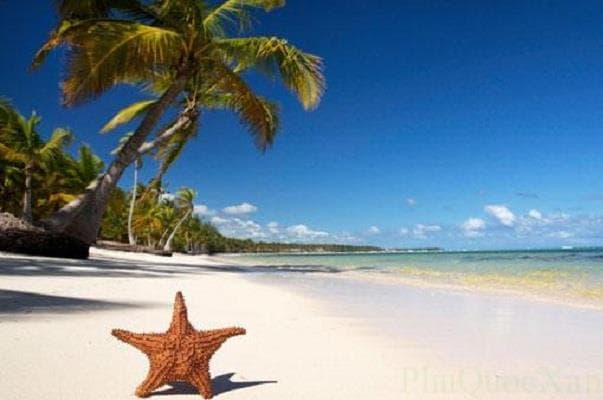 Vé máy bay Đà Nẵng đi Phú Quốc giá rẻ