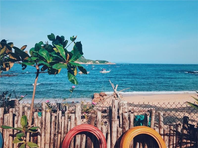 Lạc trôi đến xứ sở “hoa vàng cỏ xanh” chưa đến 3 triệu/ người