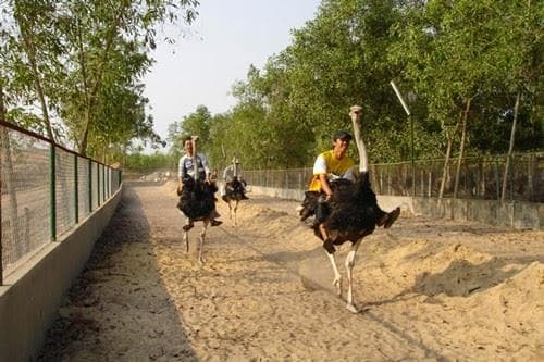 Khu du lịch sinh thái vườn xoài
