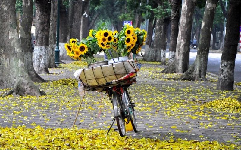 Những địa điểm ngắm mùa thu vàng đẹp nhất Hà Nội