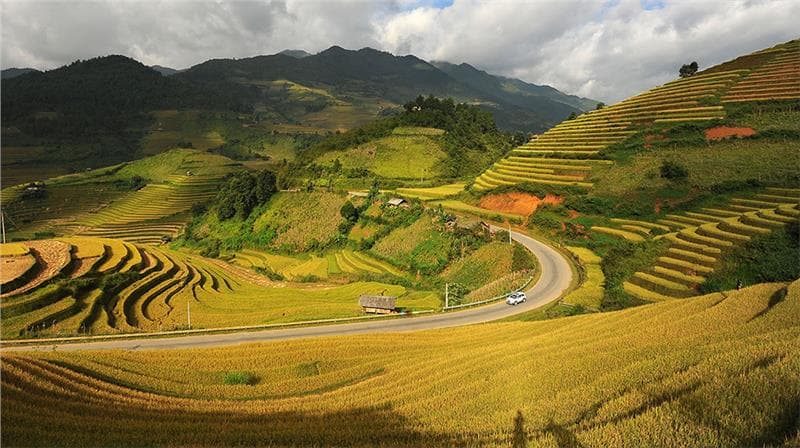 Tour ngắm mùa lúa chín Sapa - Mù Cang Chải 3 ngày 2 đêm