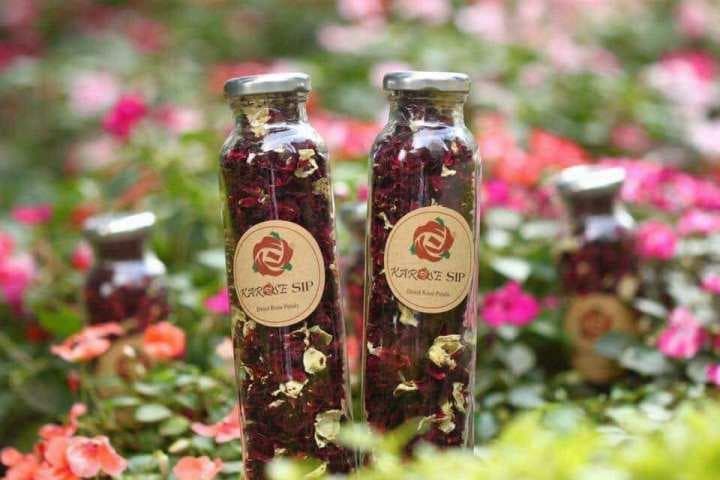 Cánh hoa hồng sấy KAROSE SIP