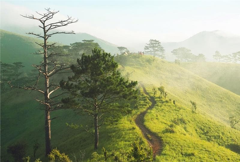 Tín đồ trekking không thể bỏ qua địa danh này tại Việt Nam