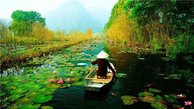 Vé máy bay HongKong đi Việt Nam giá rẻ