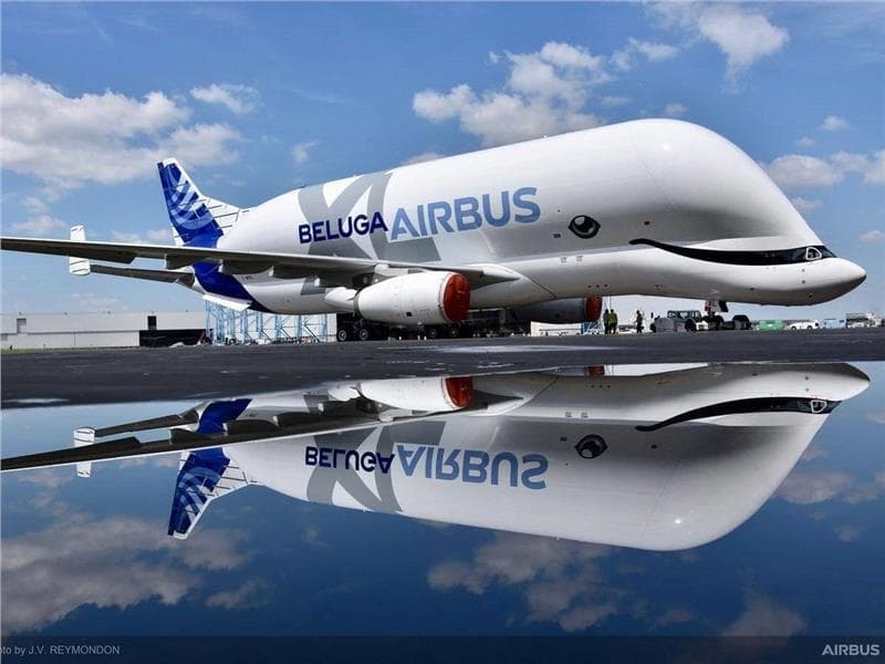 Máy bay Airbus Beluga XL