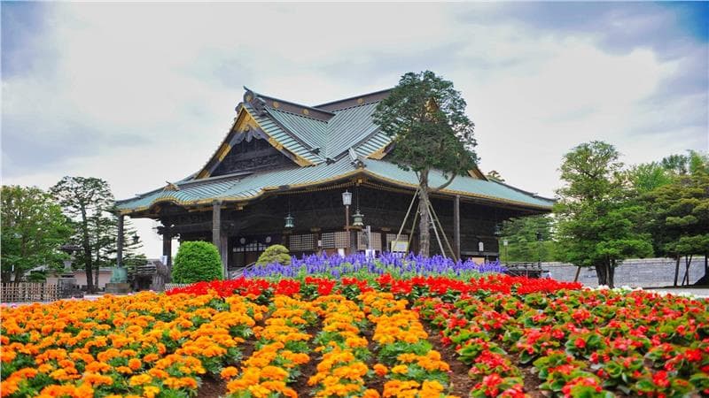 Vé máy bay đi Narita giá rẻ