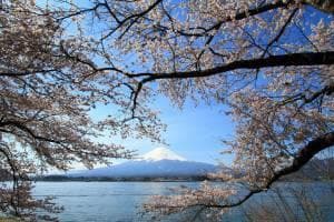 Vé máy bay đi Tokyo giá rẻ