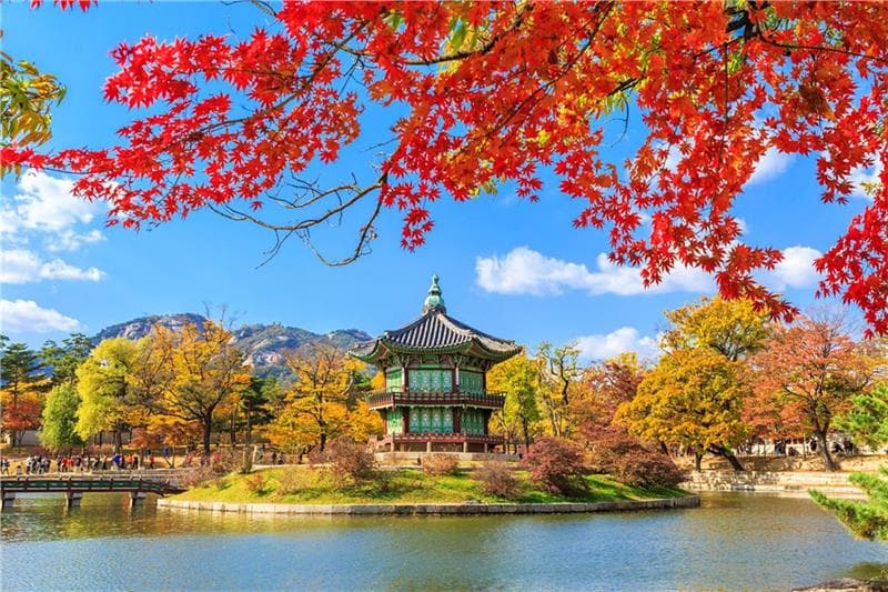 Tour Hàn Quốc (Seoul – Jeju – EverLand – Nami) 
