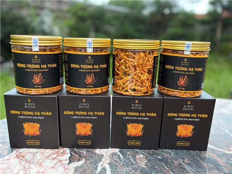 Lọ quả thể đông trùng hạ thảo khô sấy thăng hoa gãy/vụn 25gr (Giảm giá 5% - Tích điểm)