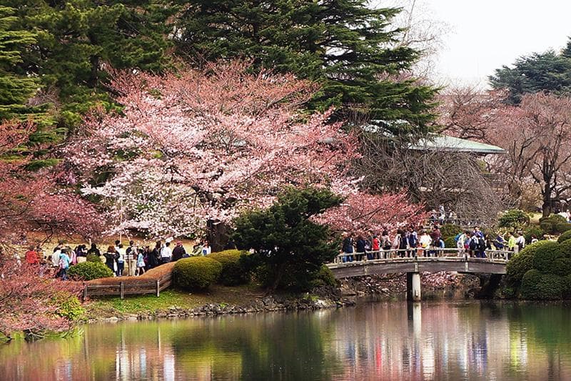 Vé máy bay Hà Nội đi Tokyo giá rẻ